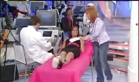 کاشته یک آن ماده گاو در جوراب ساق بلند در دهان خود را ایستاده توسط یک درخت
