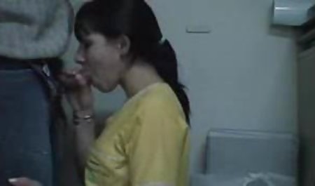 بالغ از آلمان از گربه