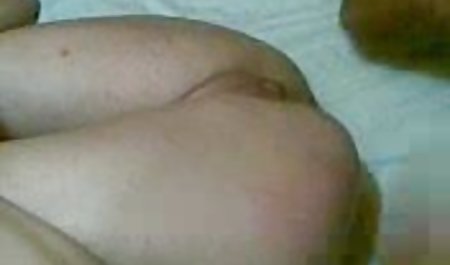 دوستداران سیاه سرخ بانوی قدیمی روی تخت
