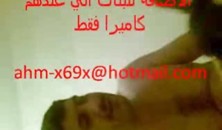 باریک بیب چلچله سیاه و سفید دیک در اکثر تخم مرغ